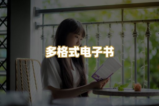 多格式电子书